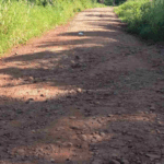 Campo Grande registra sensação térmica de 0°C em madrugada gelada