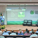 Feriado pode ser de chuvas e tempestades em MS