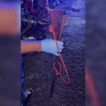 Suspeitos de furto em joalheria no Shopping utilizavam método de “profissionais do mercado de joias” para realizar furto em diversos Estados