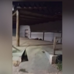 Suspeito de roubo em Terenos morre em confronto com a PM no Nova Campo Grande