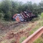 Mulher tem celular roubado em ponto de ônibus no Nova Campo Grande