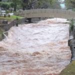 Tempestade deixa bairros da Capital sem energia elétrica; diversas regiões ficam alagadas