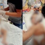 Jovem que morreu ao ser atingida por galho de árvore no Parque dos Poderes tinha 23 anos