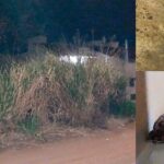 Adolescente de 14 anos desaparece após sair para escola em Campo Grande